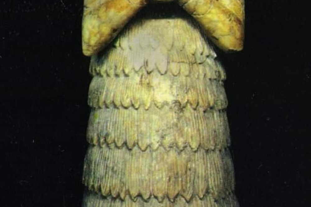 NİNNİ - ZAZA TAPINAĞI